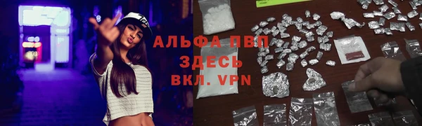 ГАЛЛЮЦИНОГЕННЫЕ ГРИБЫ Вязники