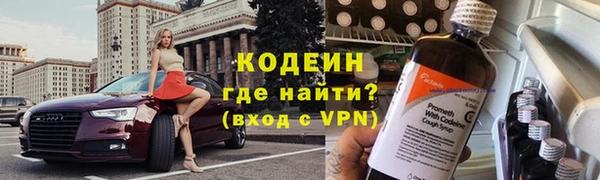 прущие грибы Наволоки