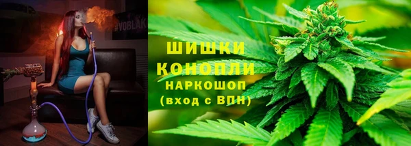 гидра Нея