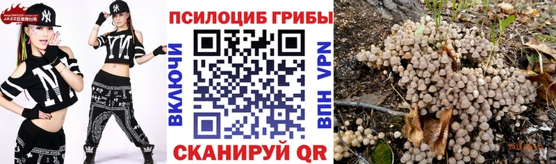 Псилоцибиновые грибы ЛСД Кировград